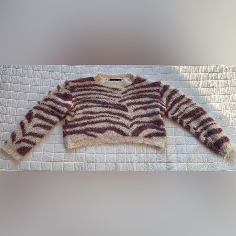 Nasty Gal Burgundy and Cream Striped Sweater